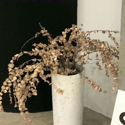 Furry角色互动设计福瑞群